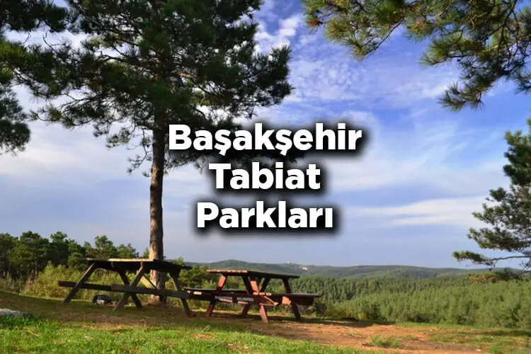 Başakşehir Boya badana ustası