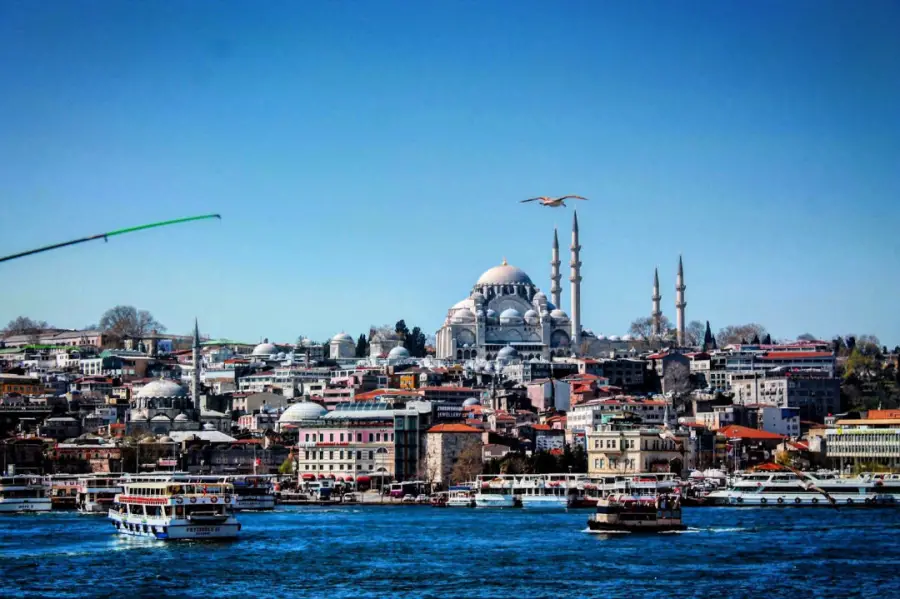 Fatih boya badana ustası